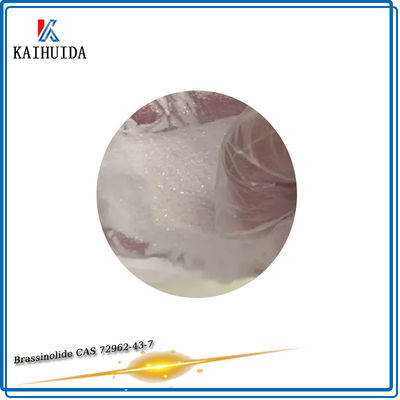 Bressinolide 90% TC CAS 72962-43-7 dei prodotti chimici del fitoregolatore del ODM agro