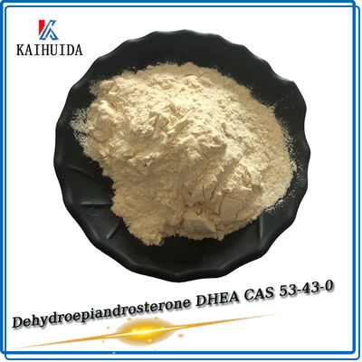 Intermediati farmaceutici Polvere grezza DHEA CAS 53-43-0